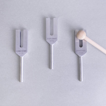 High-Frequency Stimmgabel-Set | AkashaBowls®
